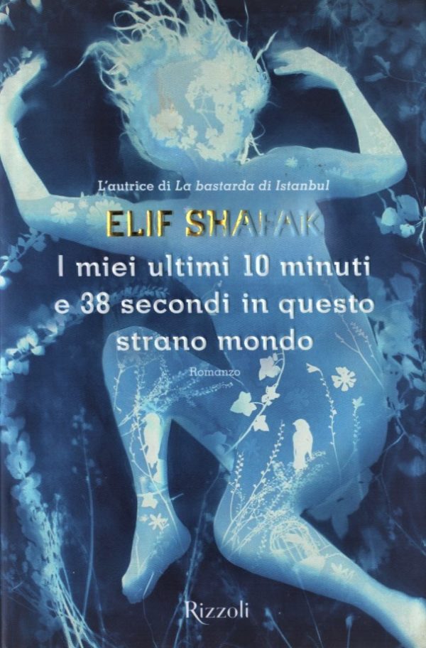 I miei ultimi 10 minuti e 38 secondi in questo strano mondo