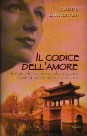 Il codice dell'amore