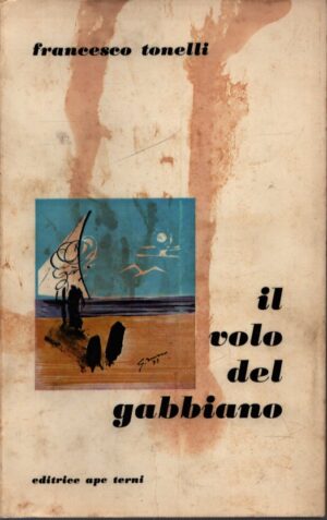 IL VOLO DEL GABBIANO