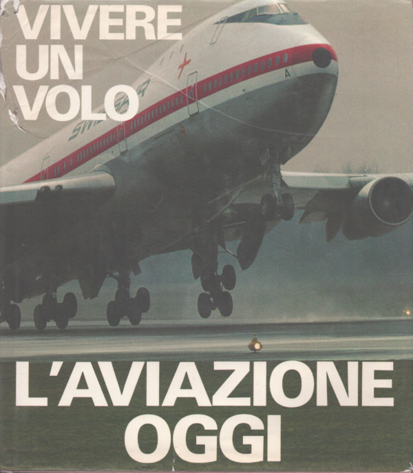 Vivere un Volo: L’Aviazione Oggi