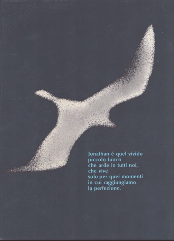 Il gabbiano Jonathan Livingston - immagine 2