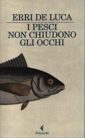 I pesci non chiudono gli occhi