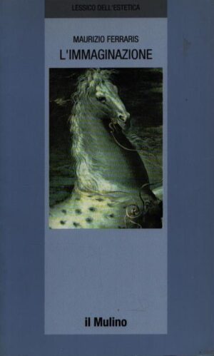 L'IMMAGINAZIONE