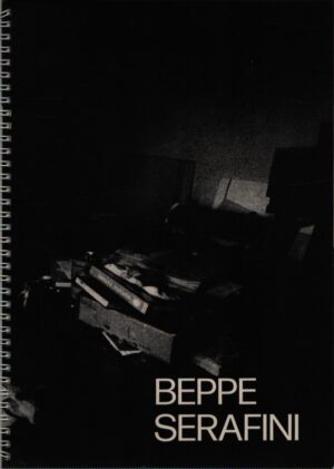 BEPPE SERAFINI . ANTOLOGICA A PALAZZO RE ENZO - SALA DEI 300