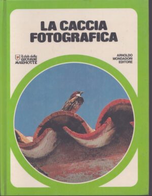 LA CACCIA FOTOGRAFICA . IL CLUB DELLE GIOVANI MARMOTTE