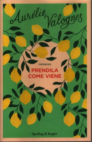 PRENDILA COME VIENE