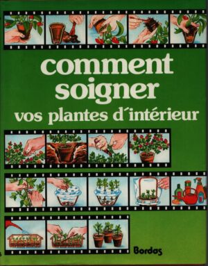 COMMENT SOIGNER VOS PLANTES D'INTÉRIEUR