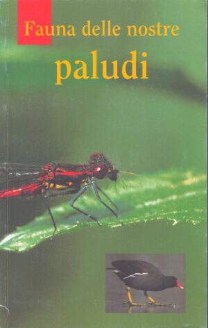 FAUNA DELLE NOSTRE PALUDI