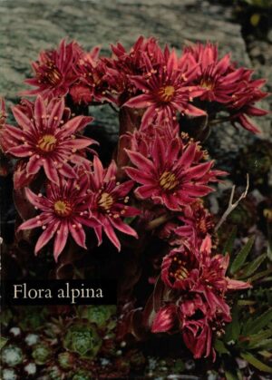 FLORA ALPINA