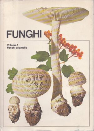 FUNGHI . VOL. 1 . FUNGHI A LAMELLE