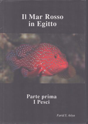 IL MAR ROSSO IN EGITTO . PARTE PRIMA: I PESCI