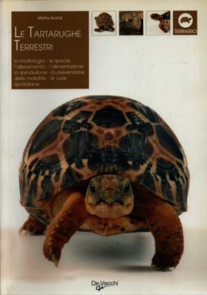 LE TARTARUGHE TERRESTRI