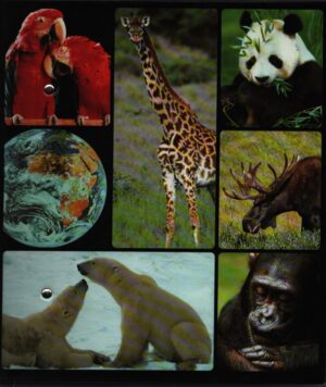 L'UNIVERS FASCINANT DES ANIMAUX . GROUPE 1 MAMMIFÈRES - FICHES 201-338
