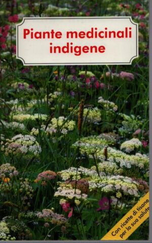 PIANTE MEDICINALI DI MONTAGNA INDIGENE . CON RICETTE DI TISANE PER LA SUA SALUTE