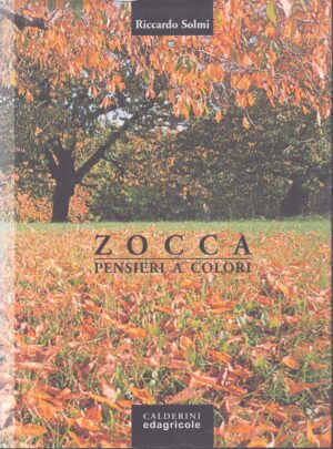 ZOCCA . PENSIERI A COLORI